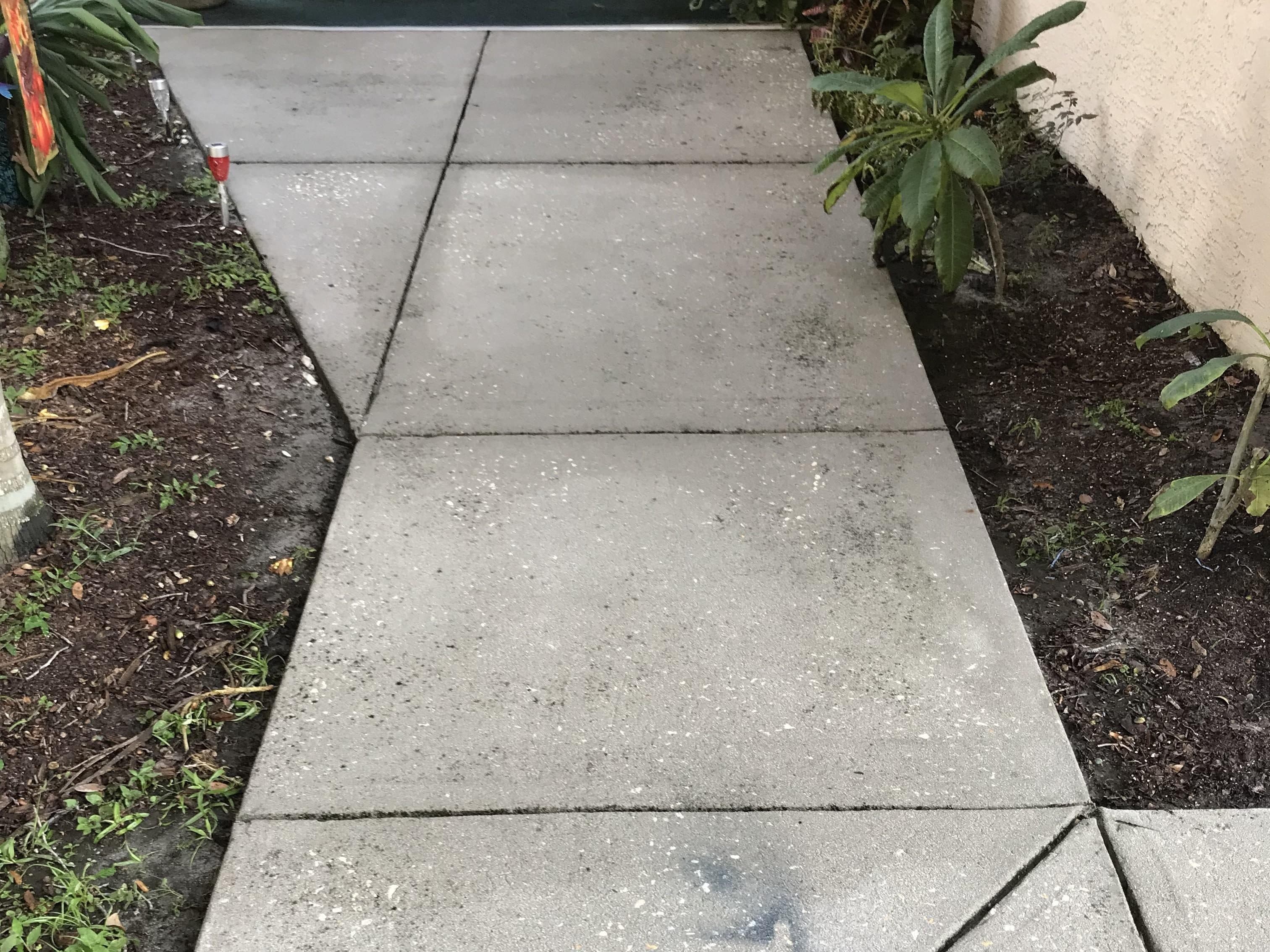 Concrete Cleaning - After