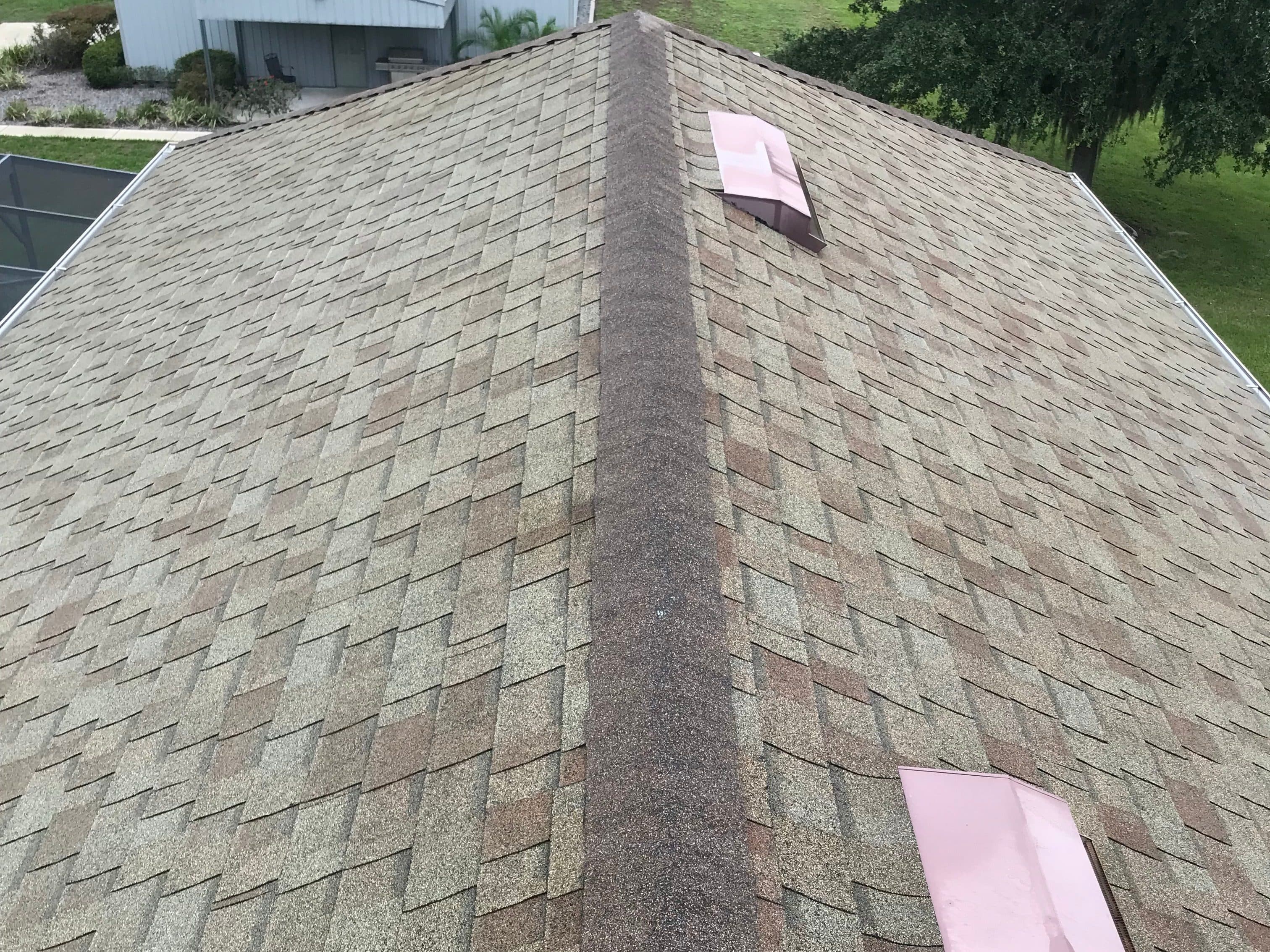 Roof Cleaning - After