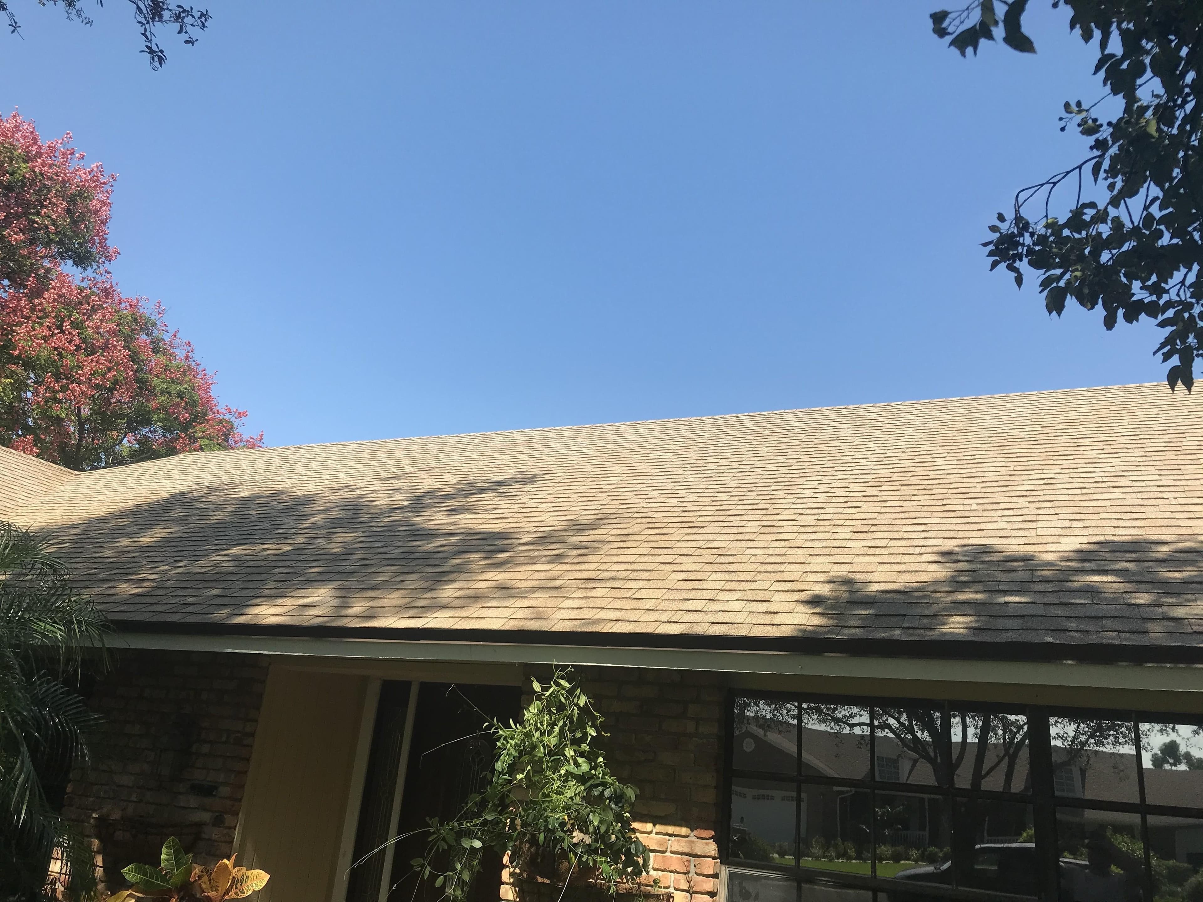 Roof Cleaning - After