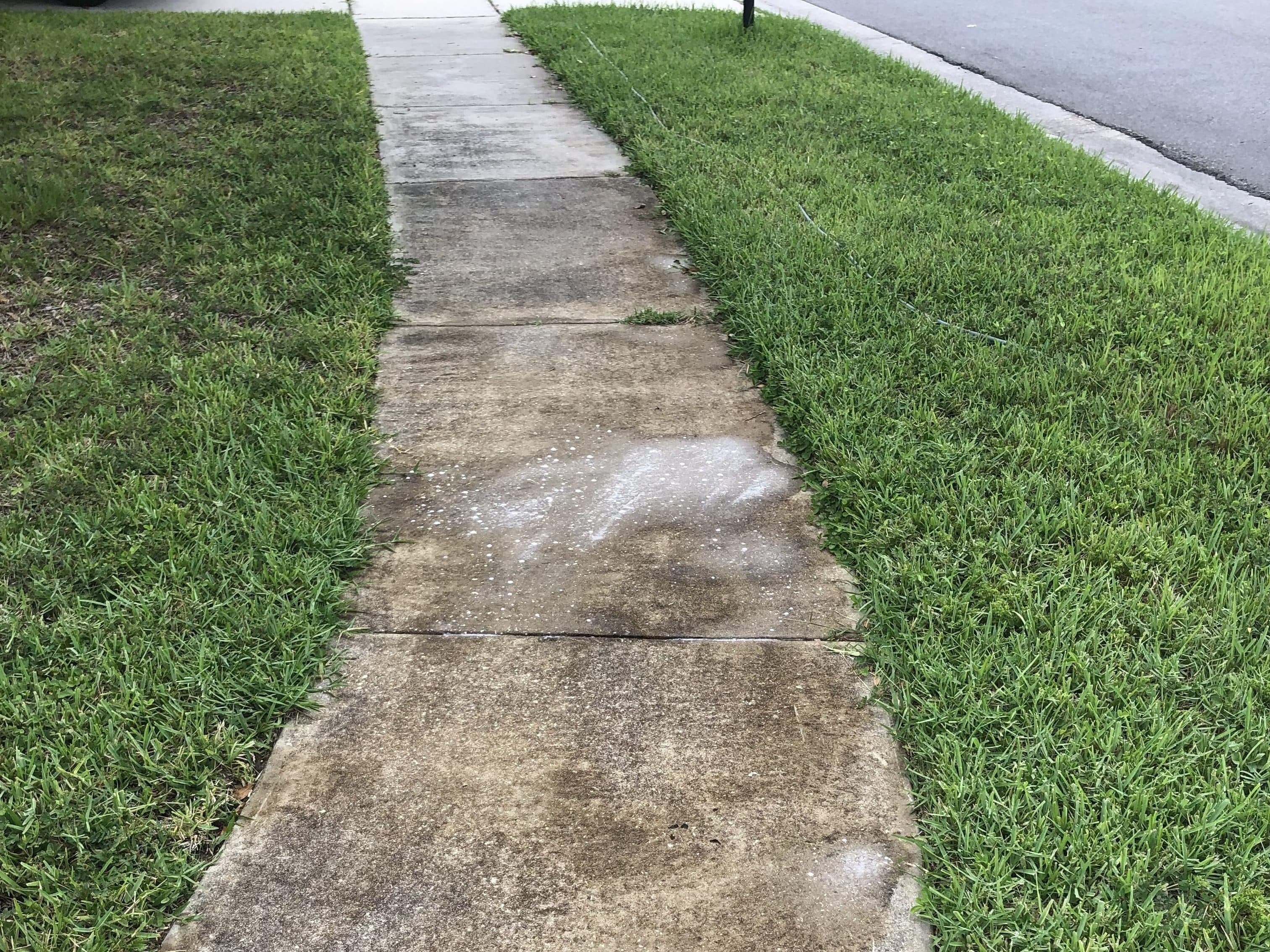 Concrete Cleaning - Before