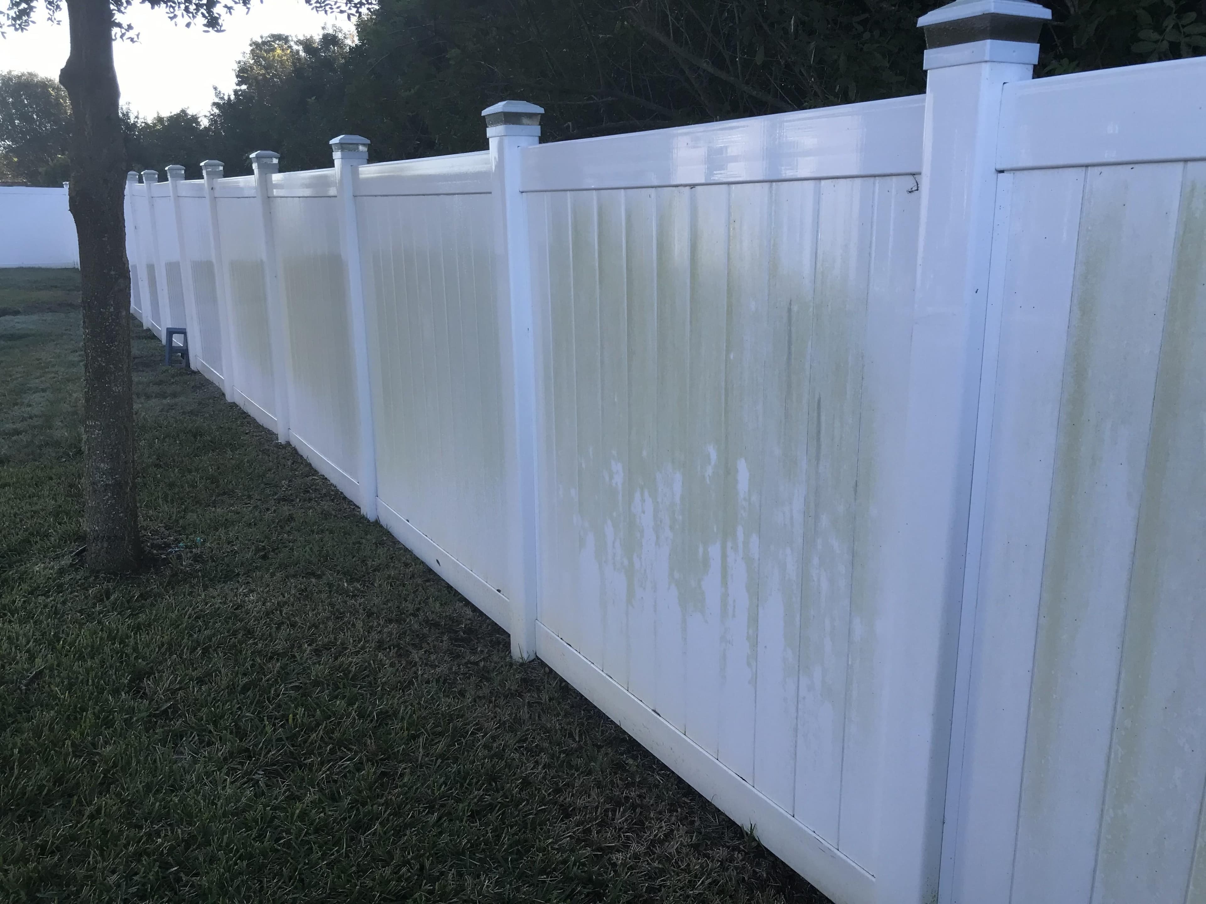 Fence Cleaning - Before