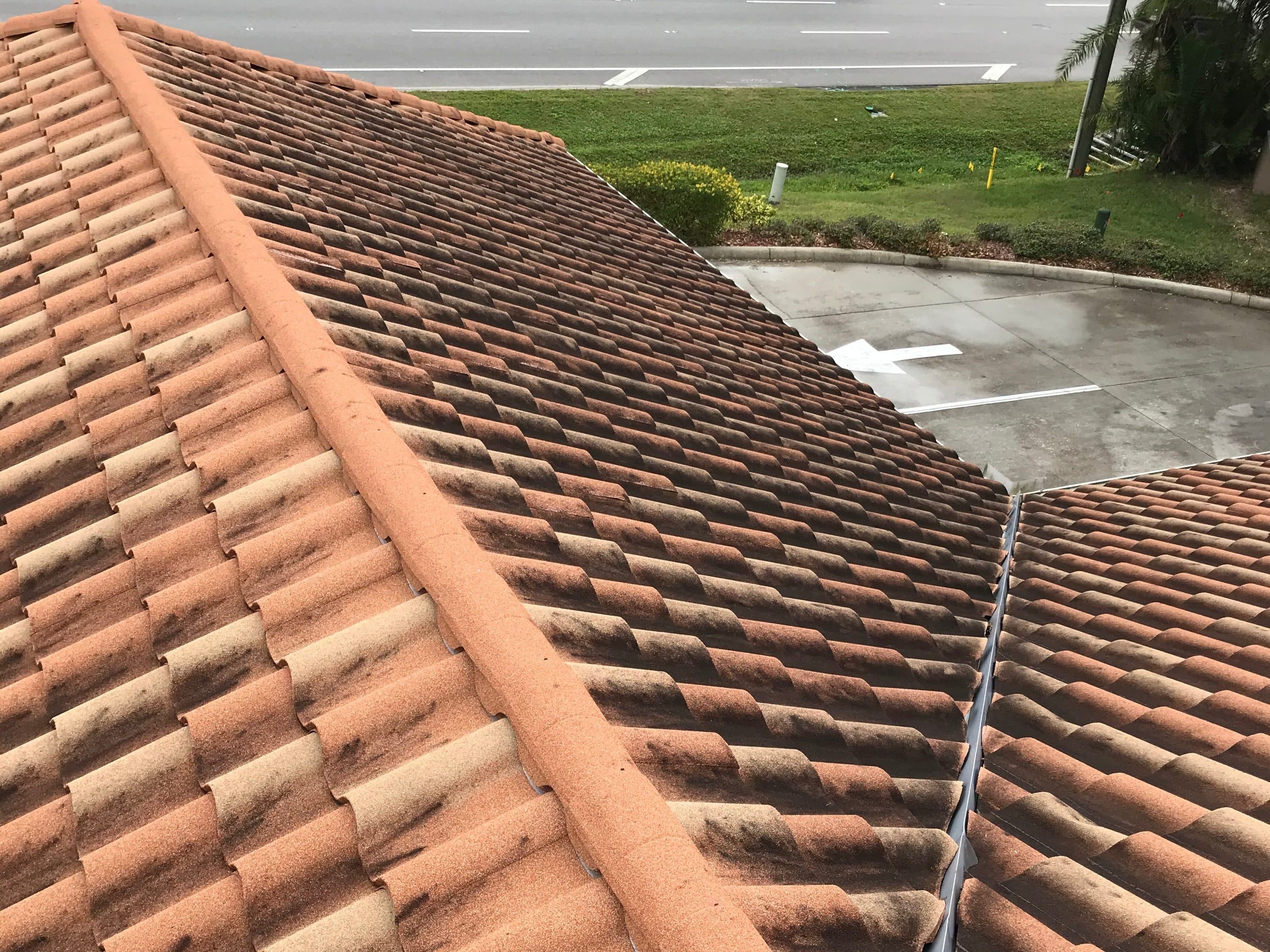 Roof Cleaning - Before