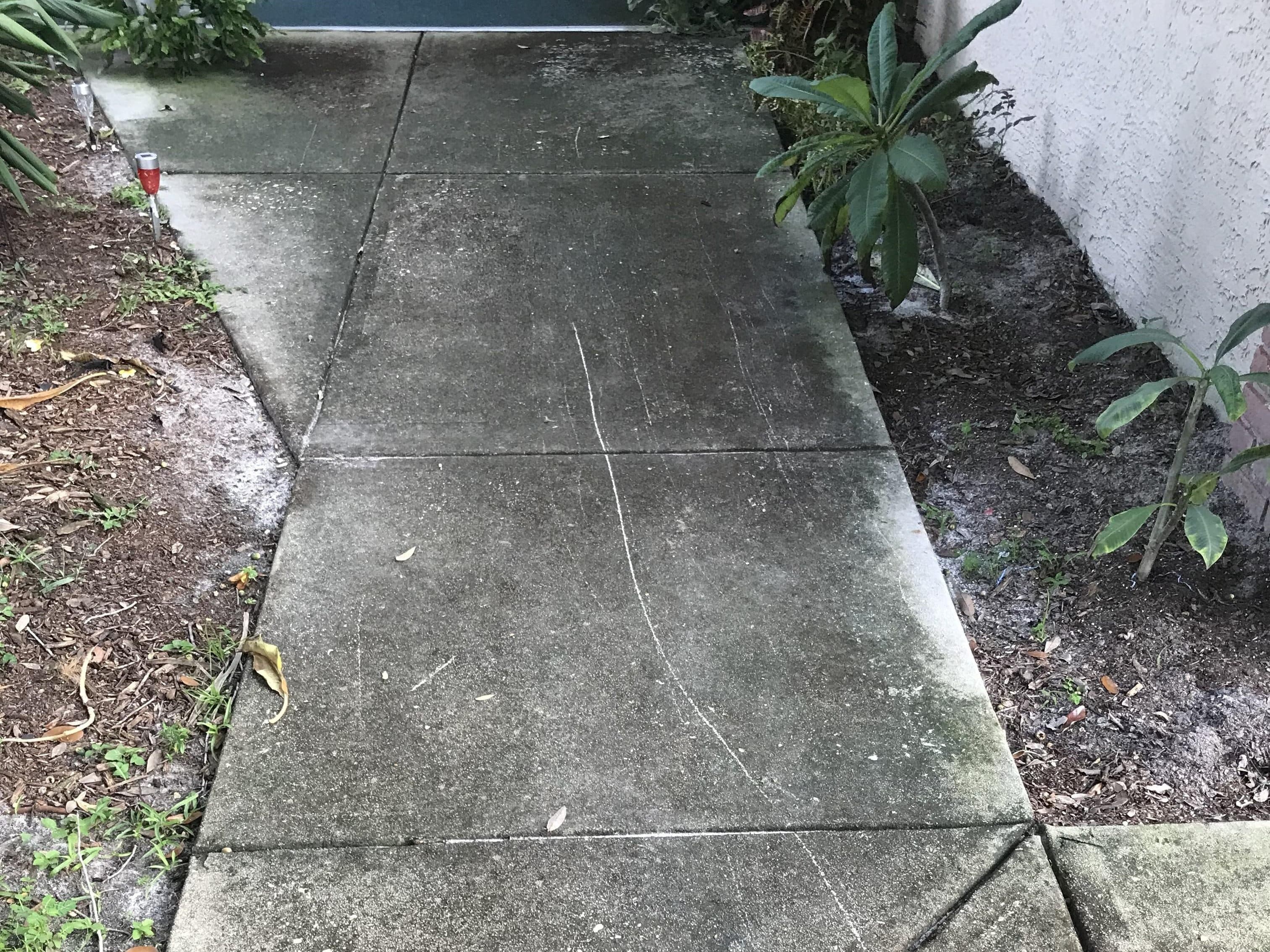 Concrete Cleaning - Before