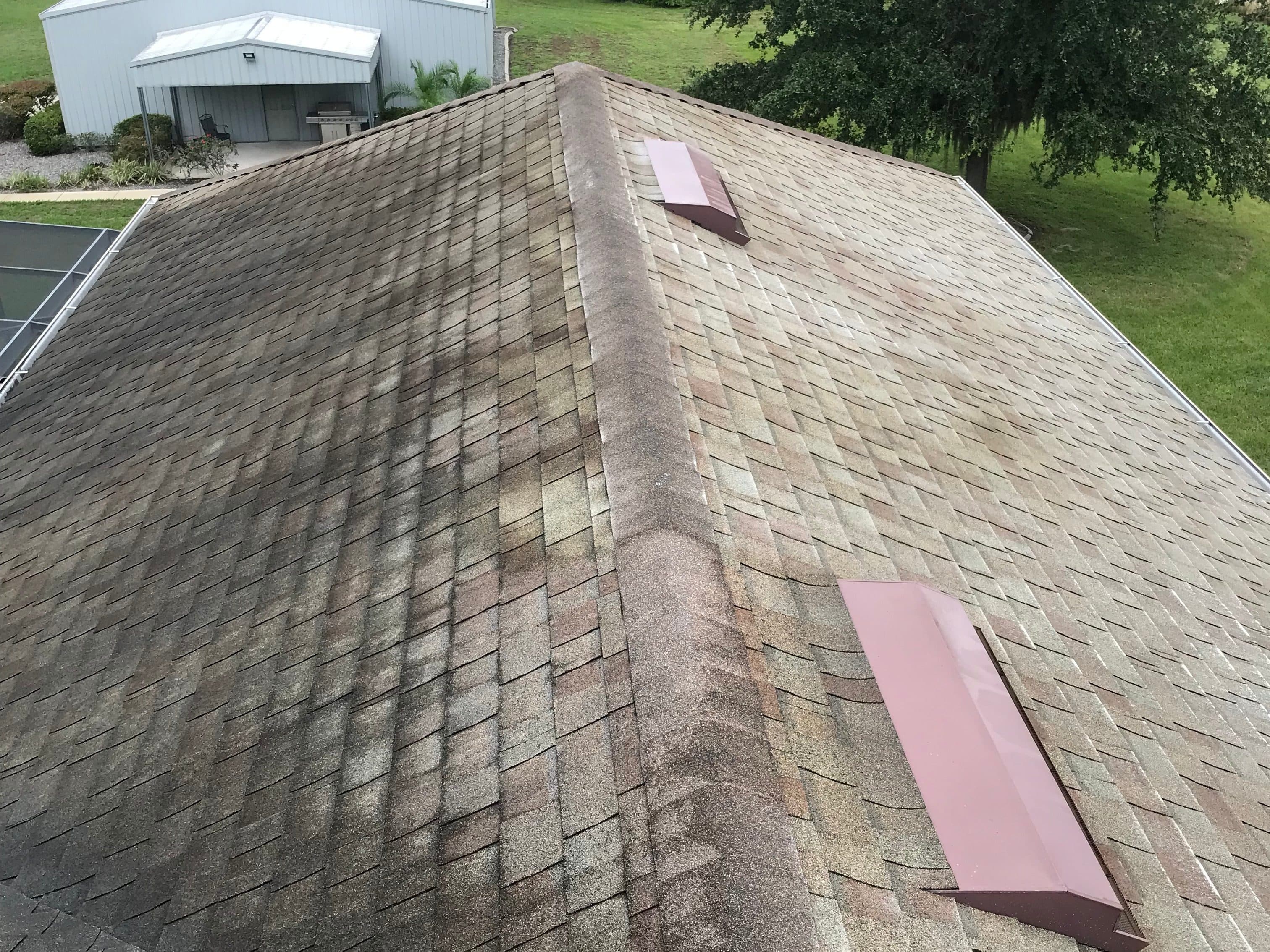 Roof Cleaning - Before