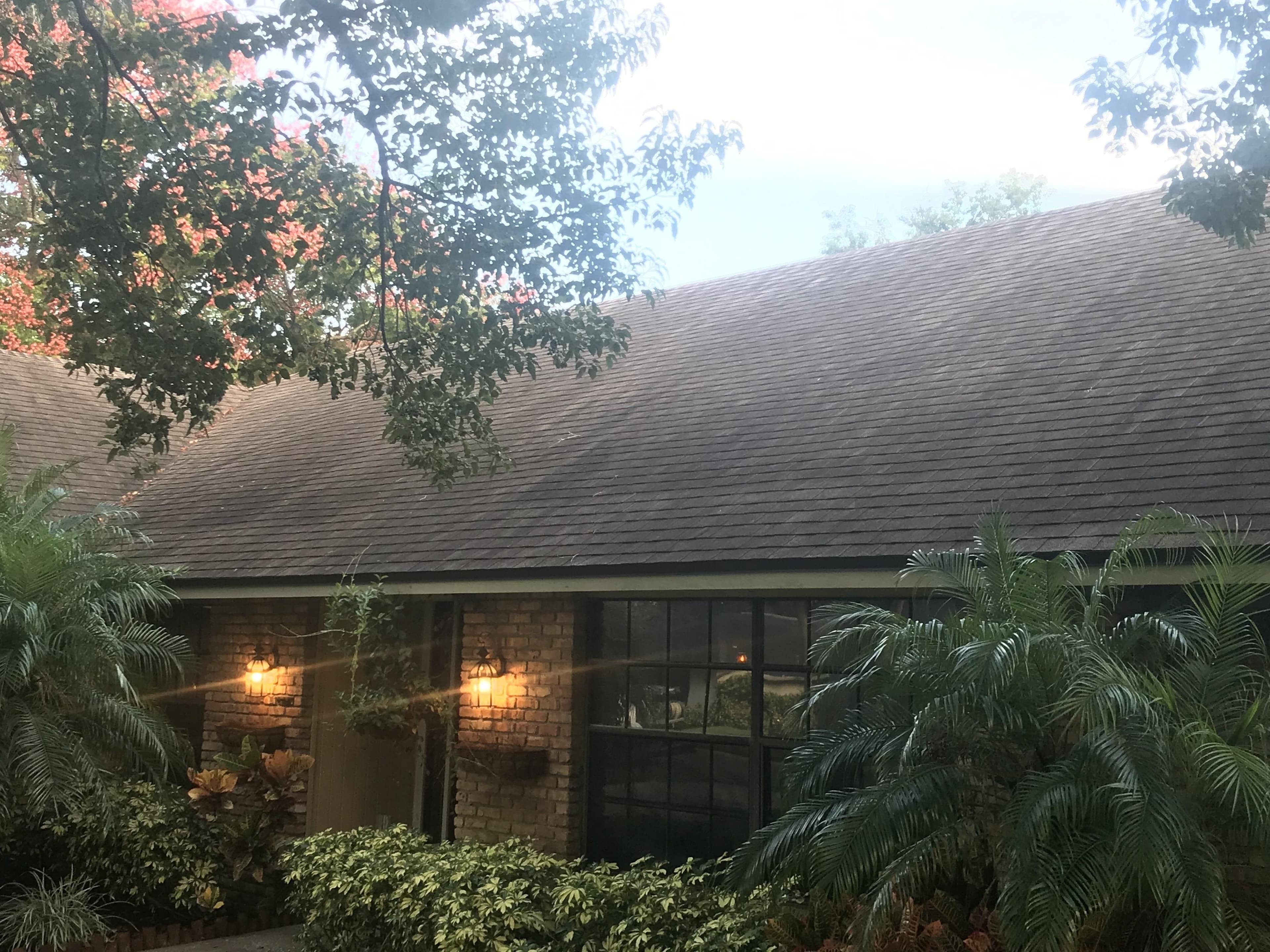 Roof Cleaning - Before