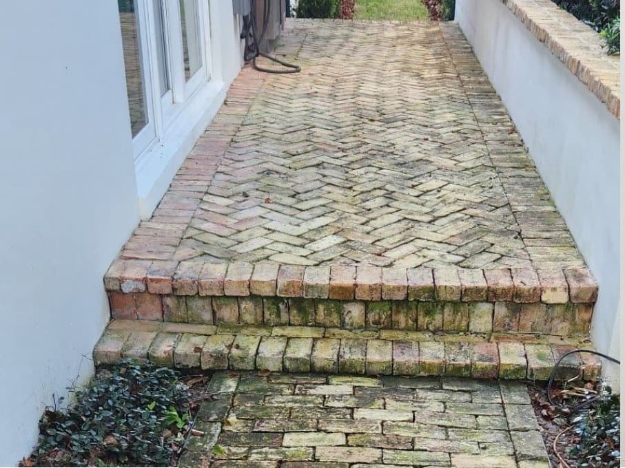 Paver Cleaning - Before
