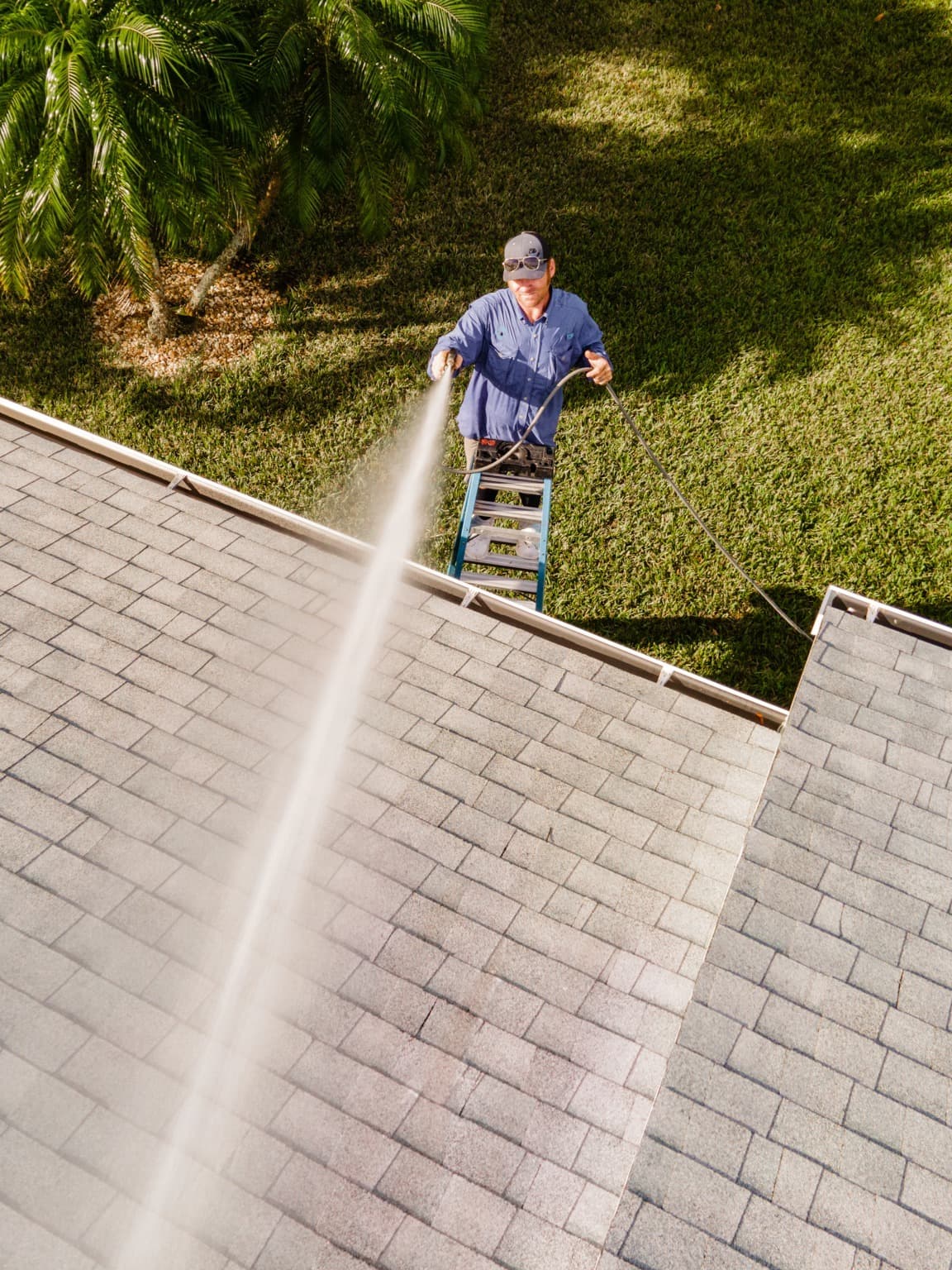 Roof Soft Washing